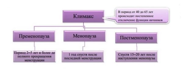 Як розрізнити нормальні і патологічні виділення у жінок при клімаксі