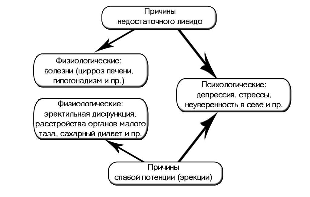 Як відновити потенцію народними засобами причини способи фізіотерапія трави харчування профілактика