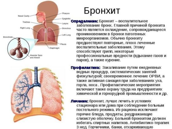 Як відрізнити бронхіт від трахеїту