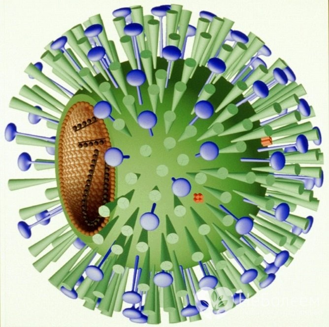 Як відрізнити вірусний фарингіт від бактеріального