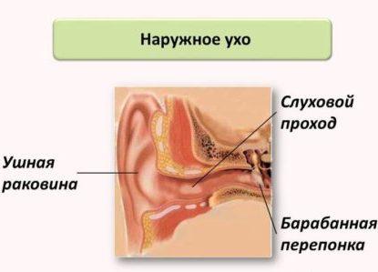 Як виглядає і лікується екзема у вухах