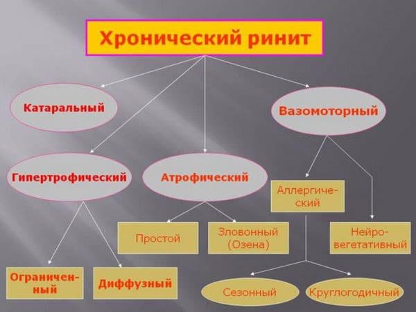 Як вилікувати хронічний нежить лікуємо хронічний нежить у дитини і в домашніх умовах