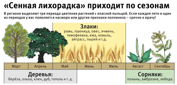 Як вилікувати сезонний алергічний риніт