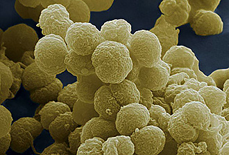 Як виявити симптоми і проводити лікування ларингіту у дітей