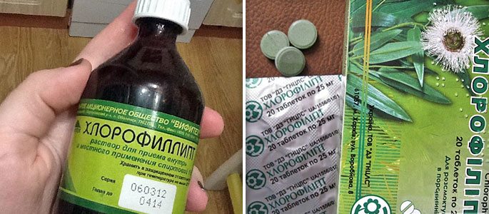 Як застосовувати Хлорофіліпт при гаймориті