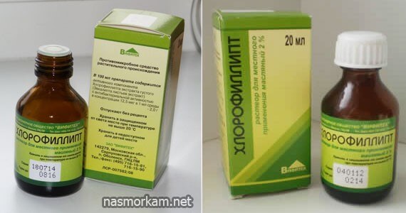 Як застосовувати Хлорофіліпт при гаймориті