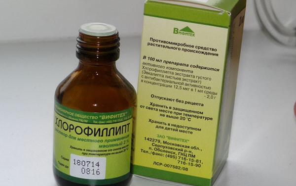 Як застосовувати Хлорофіліпт при гаймориті? Хлорофіліпт масляний при гаймориті: лікування і як застосовувати