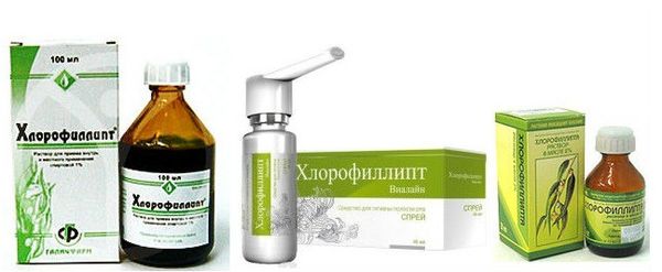 Як застосовувати Хлорофіліпт при гаймориті? Хлорофіліпт масляний при гаймориті: лікування і як застосовувати