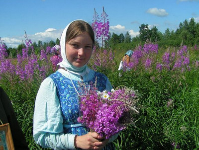 Як заварювати іван-чай і зберегти всі його корисні властивості