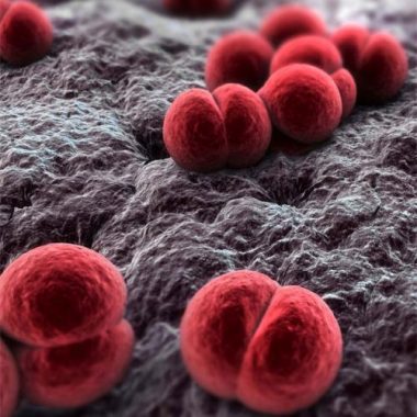Як зрозуміти що гайморит перейшов у менінгіт