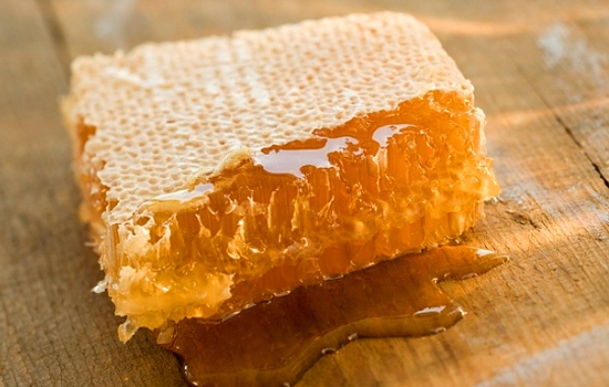 Яка користь і шкоди меду в сотах