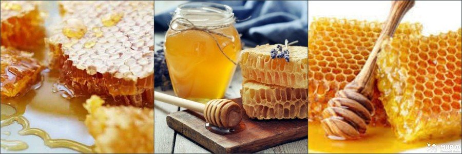 Яка користь і шкоди меду в сотах