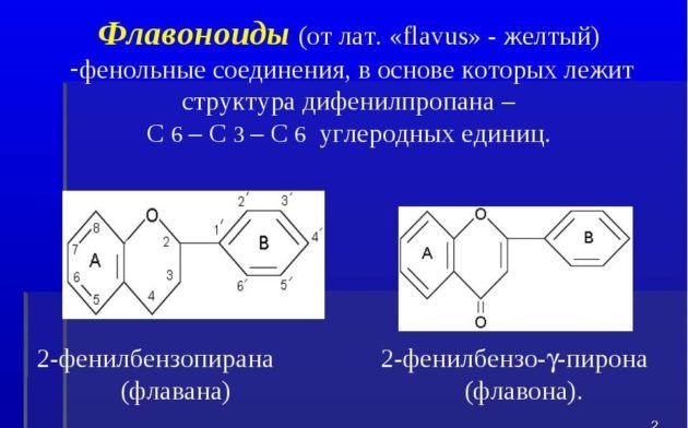 Застосування каланхое в лікуванні нежиті Застосування каланхое в лікуванні нежиті