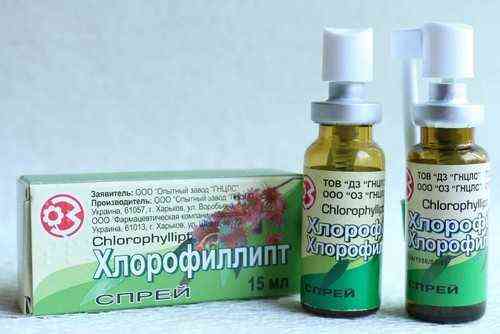 Застосування масляного хлорофіліпту для лікування