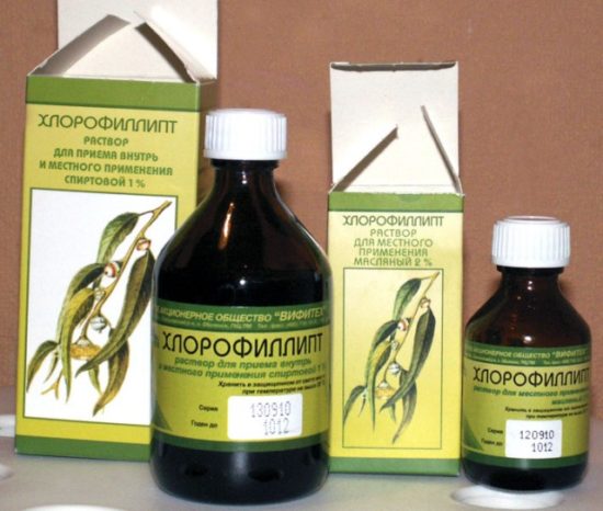 Застосування масляного хлорофіліпту для лікування
