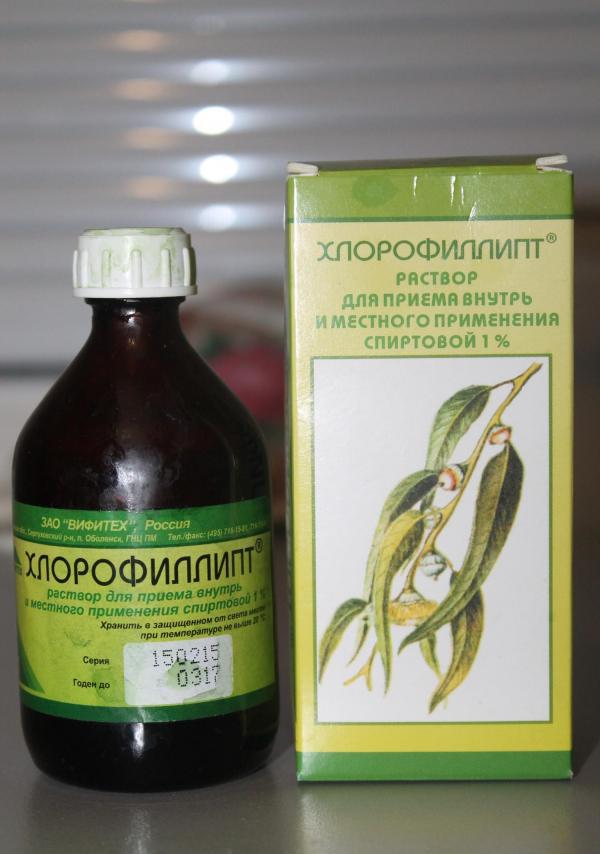 Застосування масляного хлорофіліпту для лікування