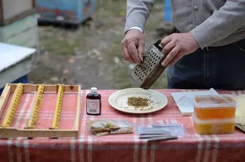 Застосування настоянки прополісу при лікуванні гаймориту в домашніх умовах