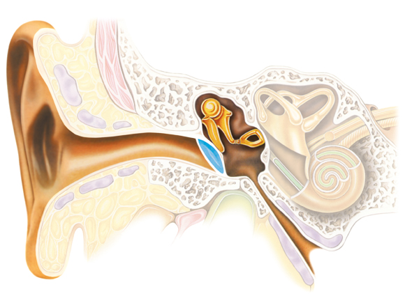 Зниження слуху у людей похилого віку: лікування і симптоми проблеми