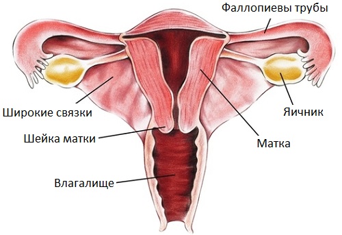 Зволожуючі засоби при сухості піхви при клімаксі